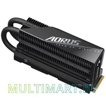 SSD диск Gigabyte Aorus Gen4 7000s Prem. 1TB (GP-AG70S1TB-P)